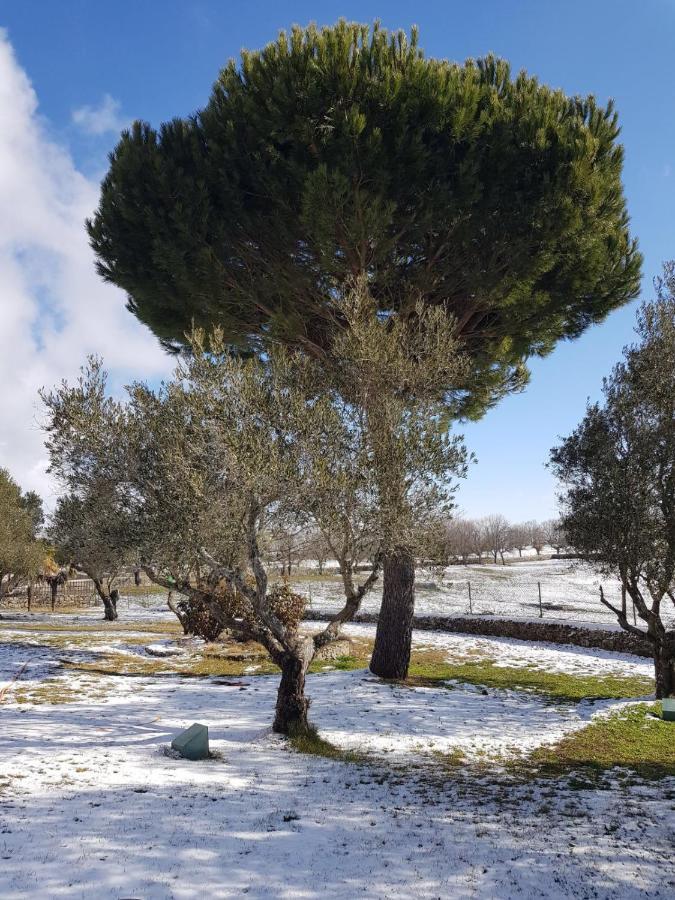 Hotel Casas Del Sevillano El Tornadizo 외부 사진